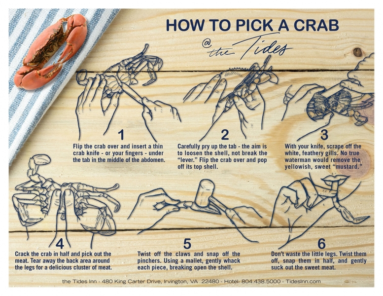 How to Pick a Crab Poster